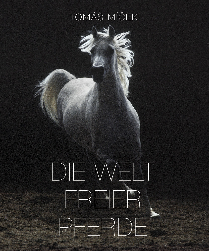 Die Welt Freier Pferde DE