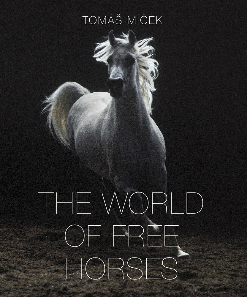The World of Free Horses ENG
