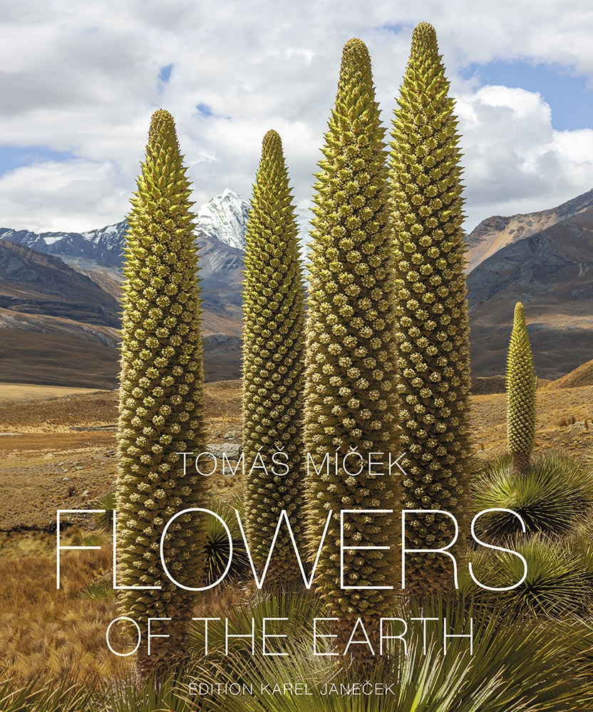Flowers of the Earth ENG
