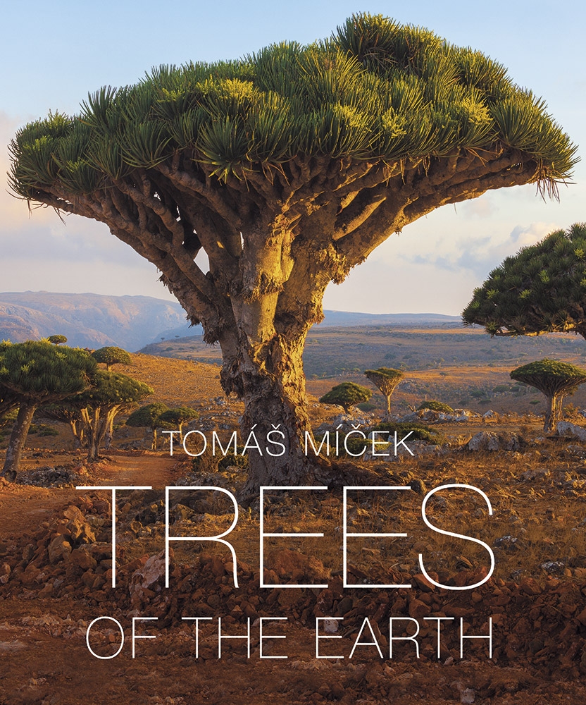 Trees of the Earth ENG