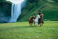 ICELAND AND ITS HORSES   