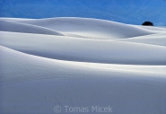 White sands