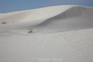 White_sands_013