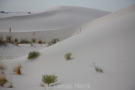 White_sands_028